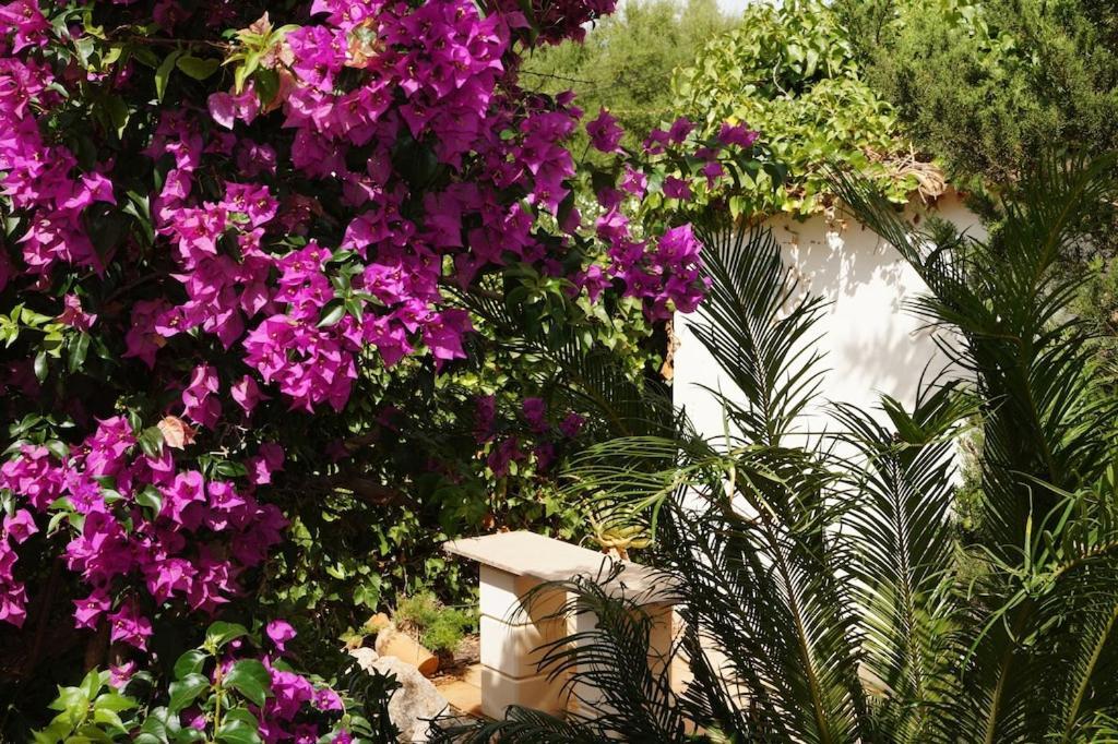 Villa Cala Mendia Cala Mandia  Zewnętrze zdjęcie